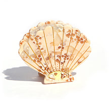 Shell Hair Clip - Honey