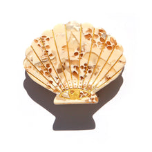 Shell Hair Clip - Honey
