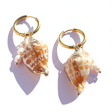 Shell Huggie Hoops