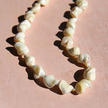 Rolled Shell Necklace