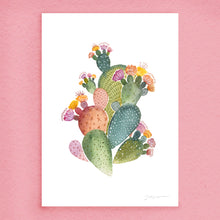 Arizona Blossom (limited edition print)